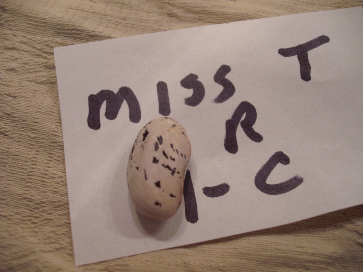 DSCF4740.JPG