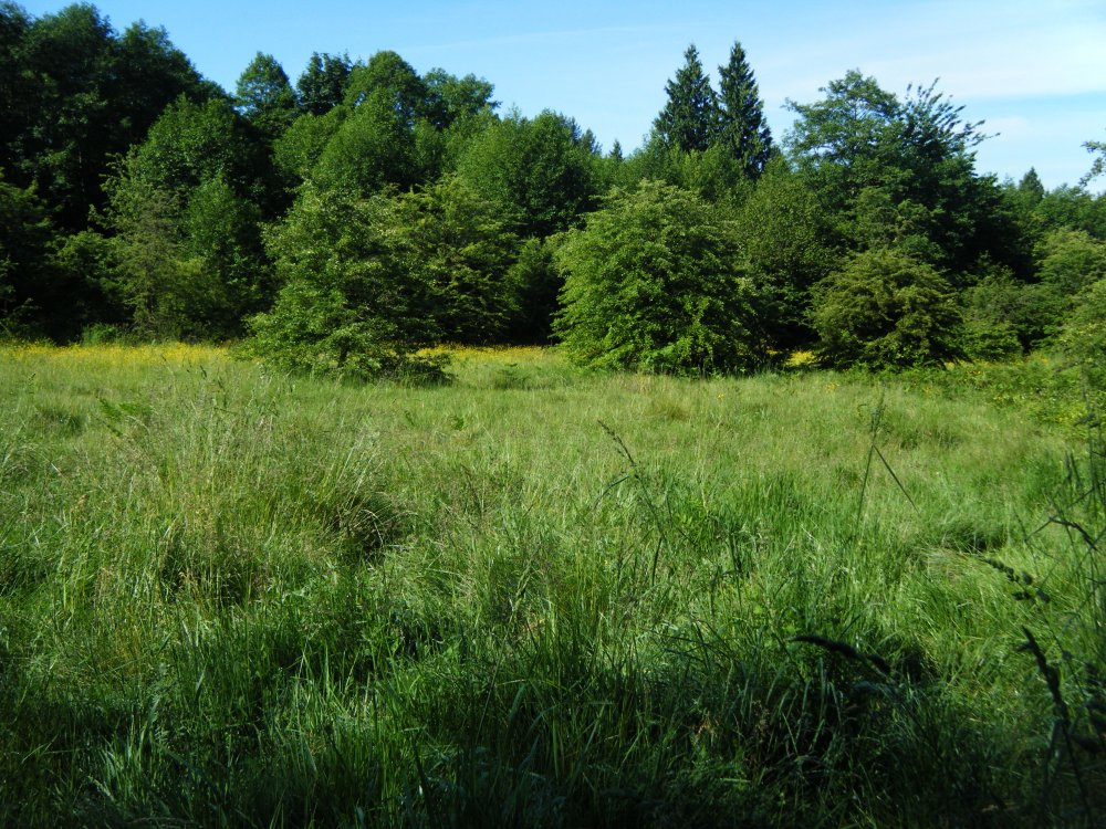 DSCF9101.JPG