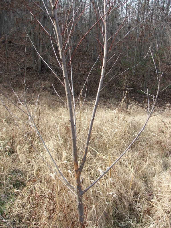 DSCF9683.JPG