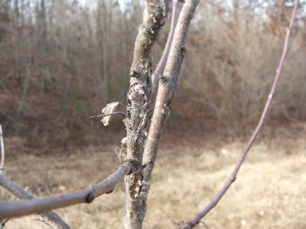 DSCF9687.JPG