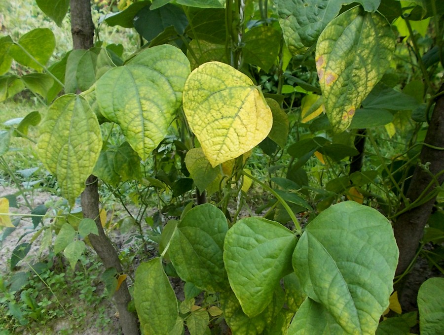 DSCN0460.jpg