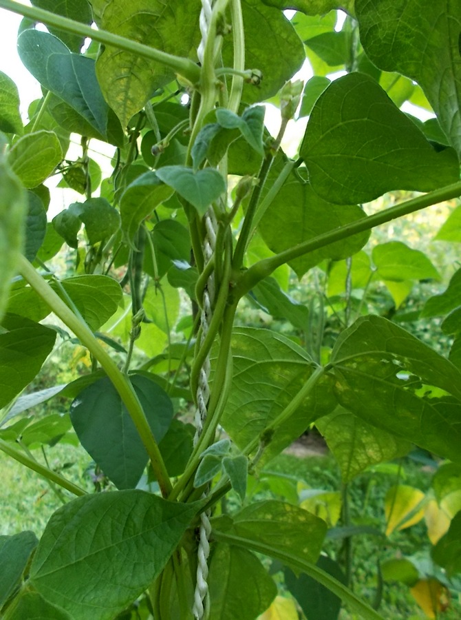 DSCN0478.jpg
