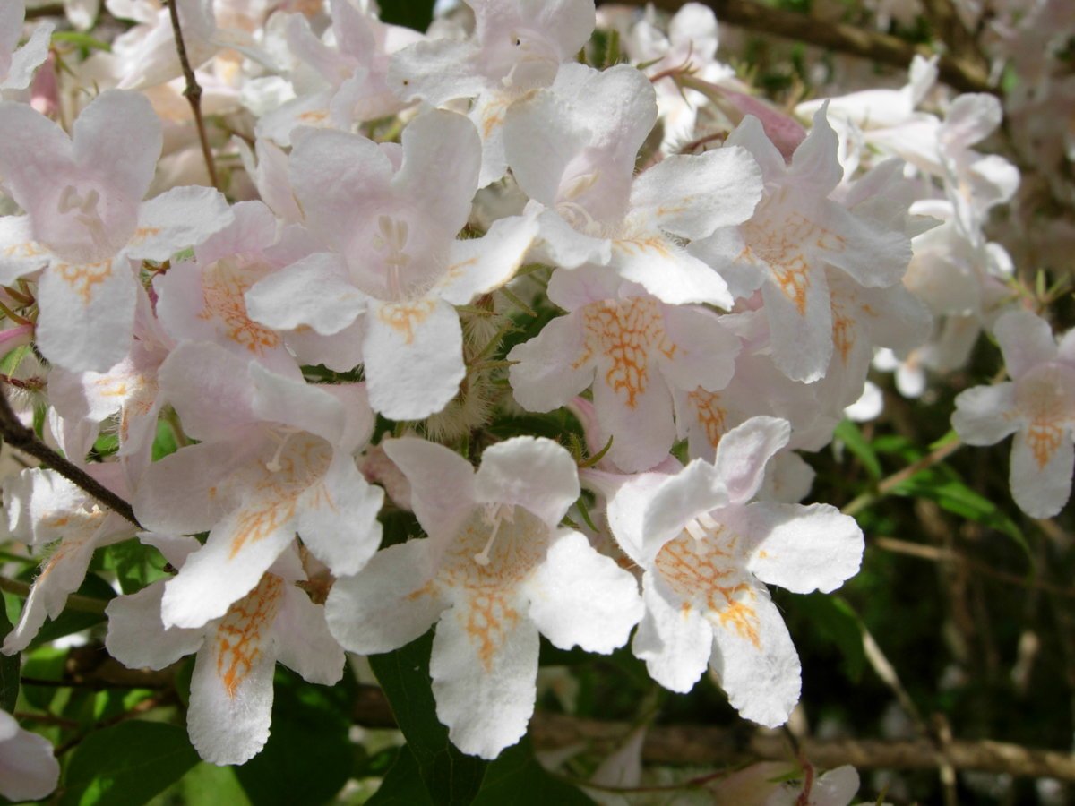 DSCN0775.JPG