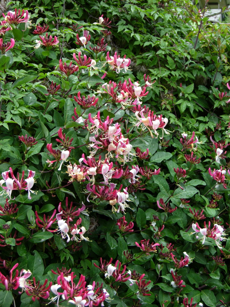 DSCN0794.JPG