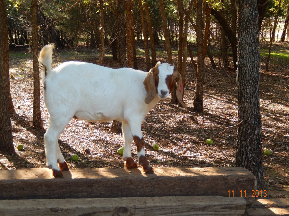 DSCN0927.JPG