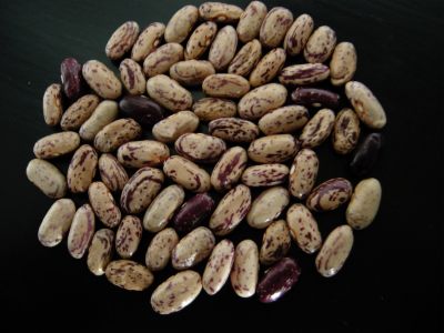 DSCN2122.jpg
