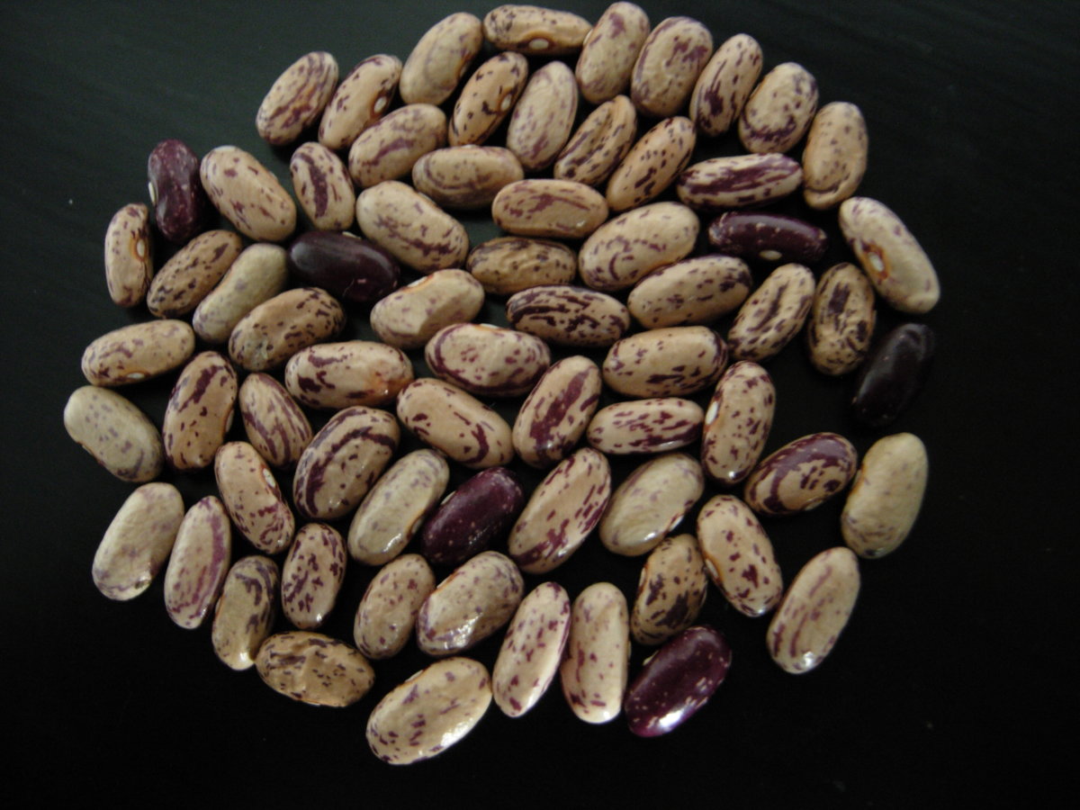 DSCN2122.JPG