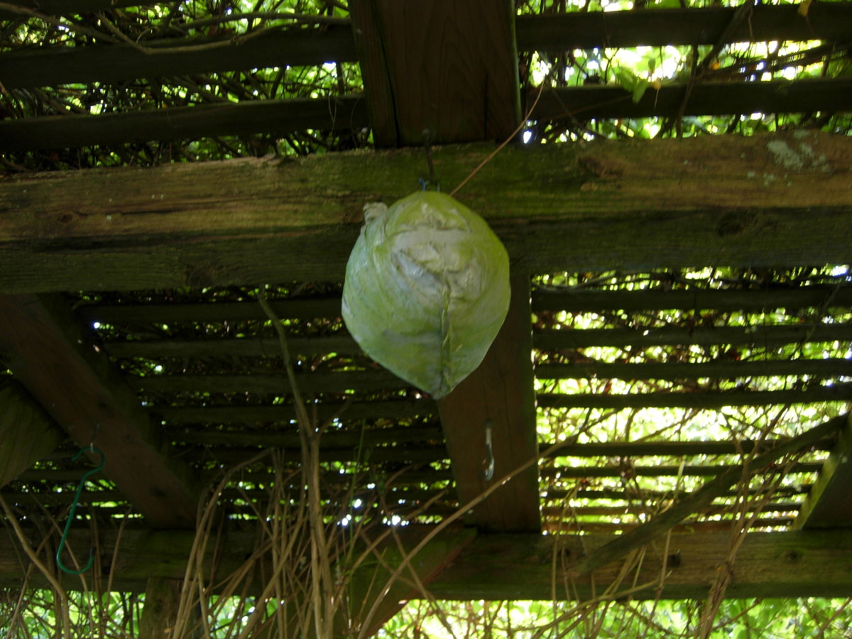 DSCN2557.JPG