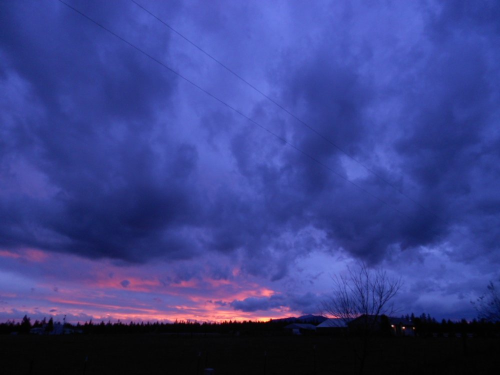 DSCN2681.JPG