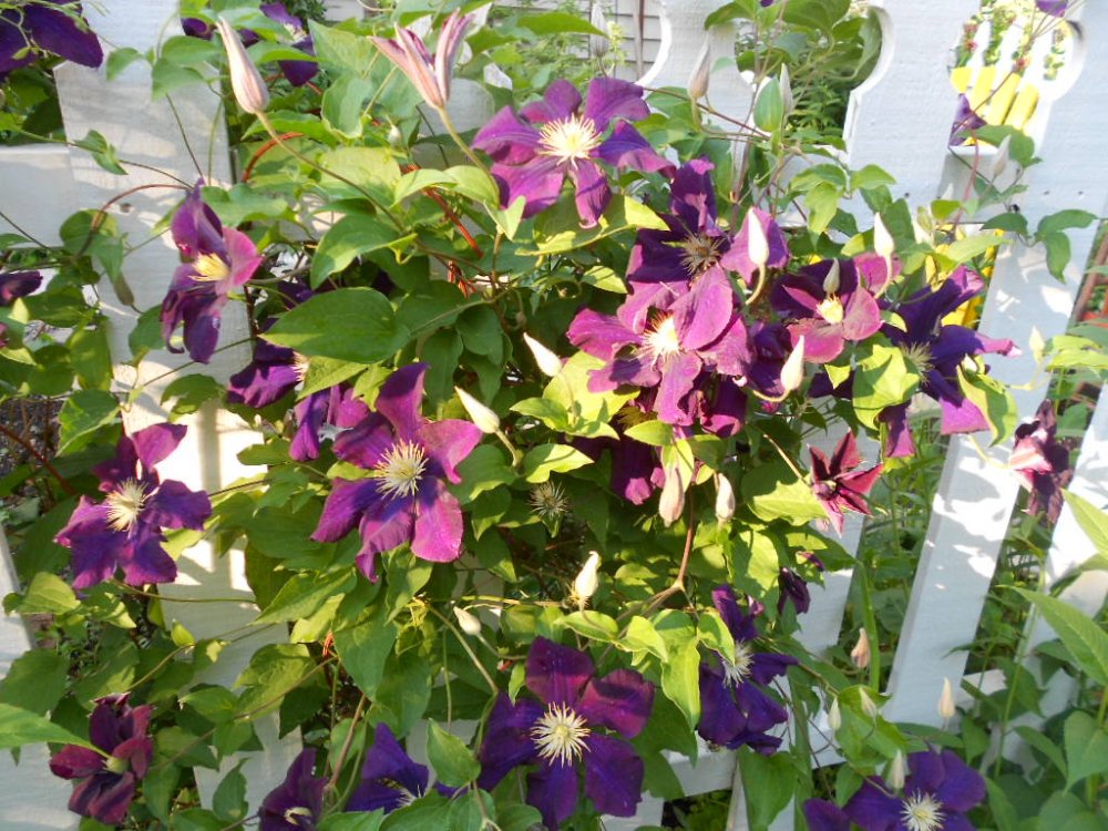 DSCN2928.JPG