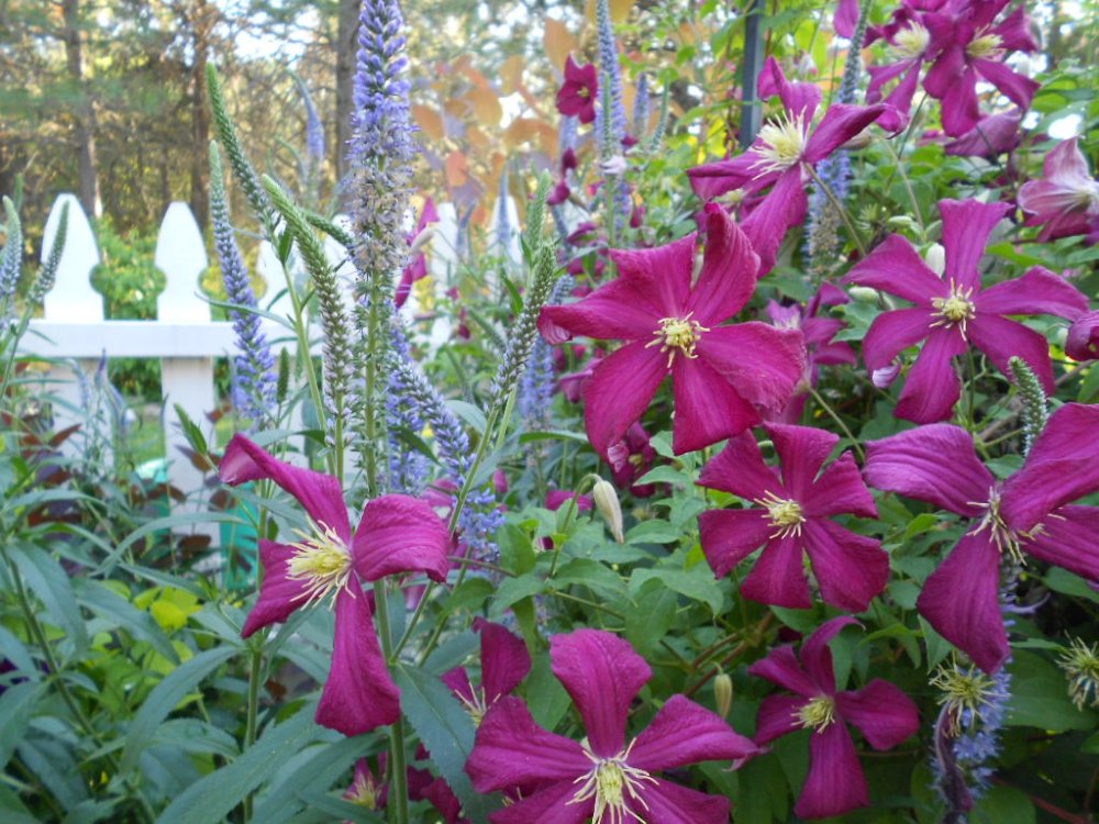 DSCN2932.JPG