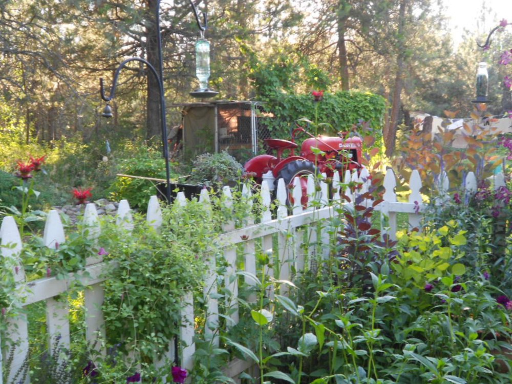 DSCN2934.JPG