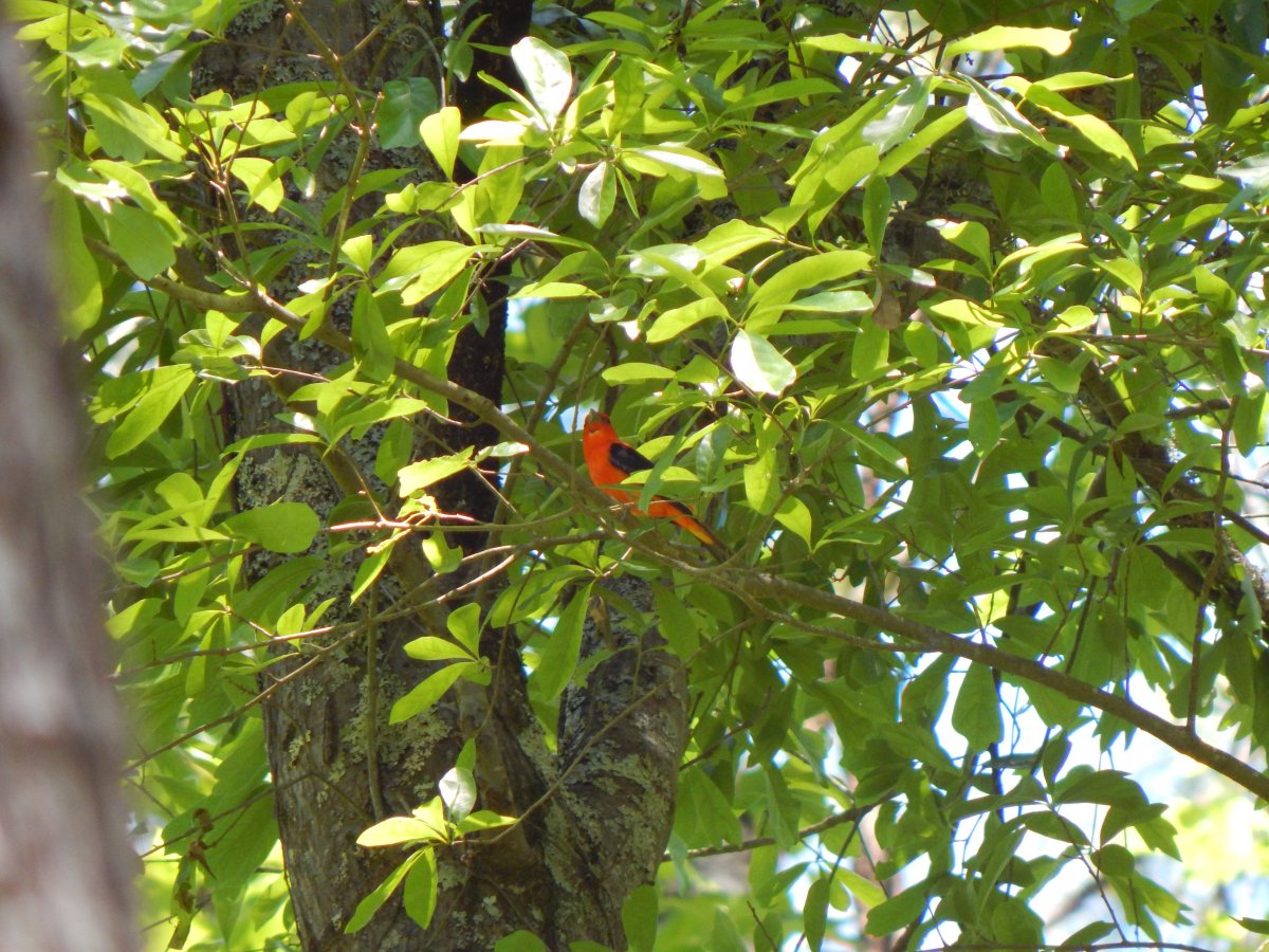 DSCN3008.JPG