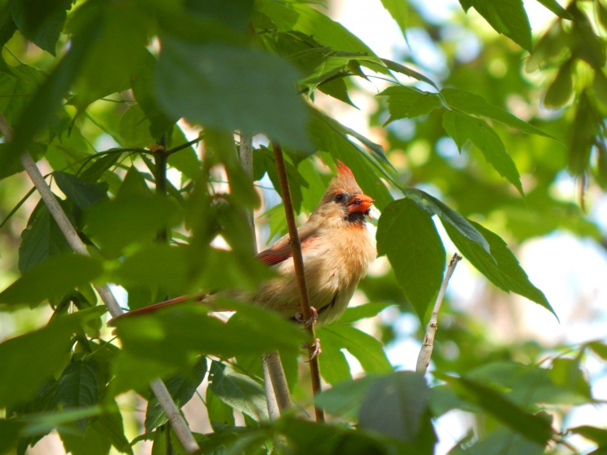 DSCN3015.JPG