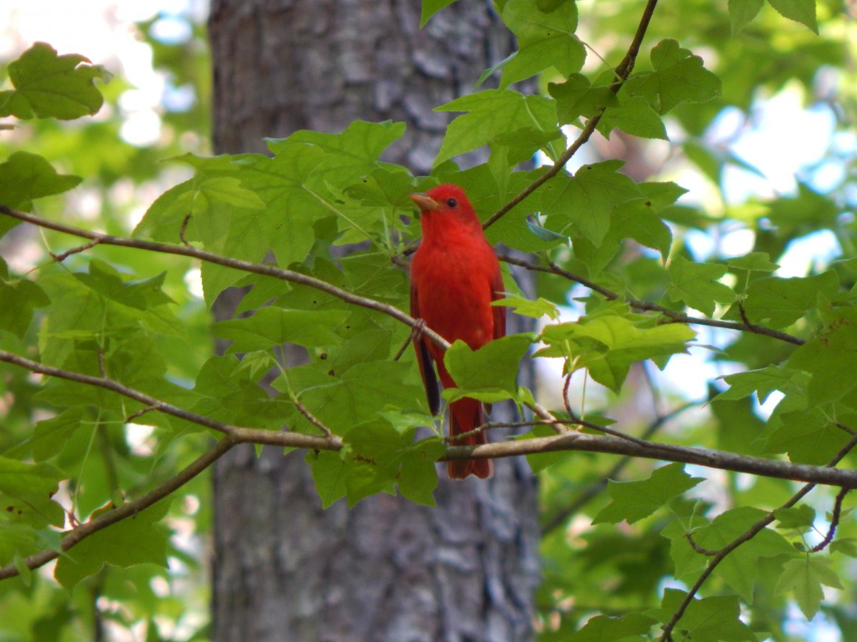 DSCN3081.JPG