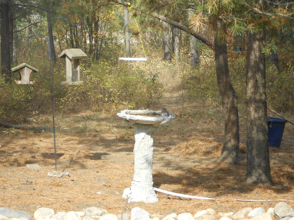 DSCN3149.JPG