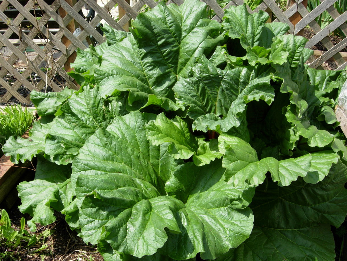 DSCN3338.JPG