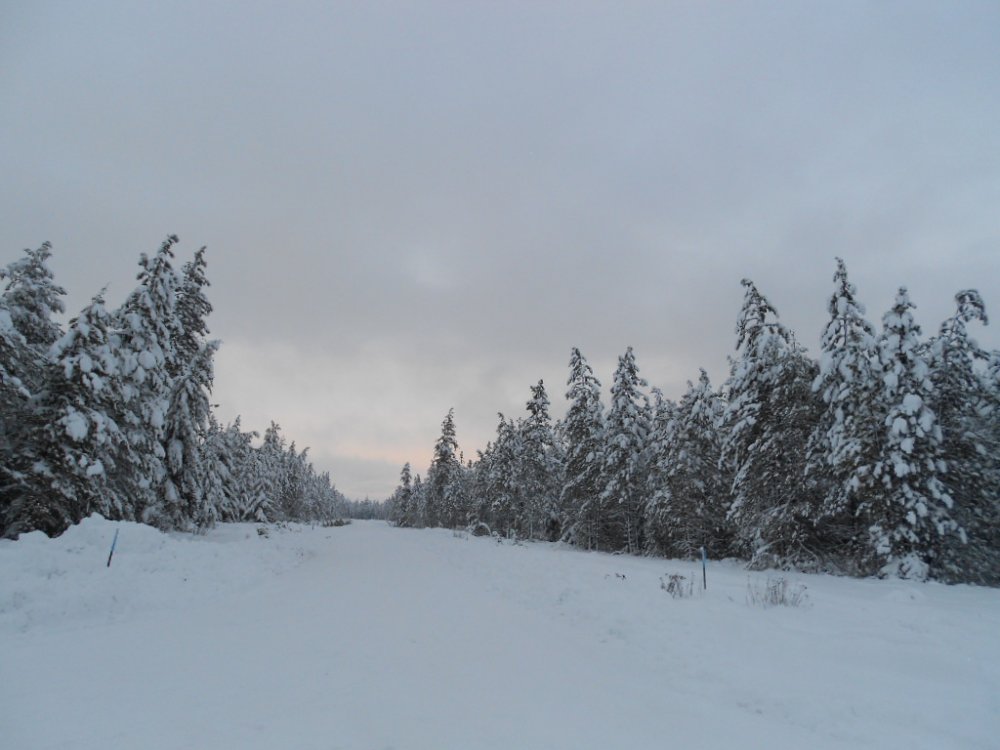 DSCN3452.JPG