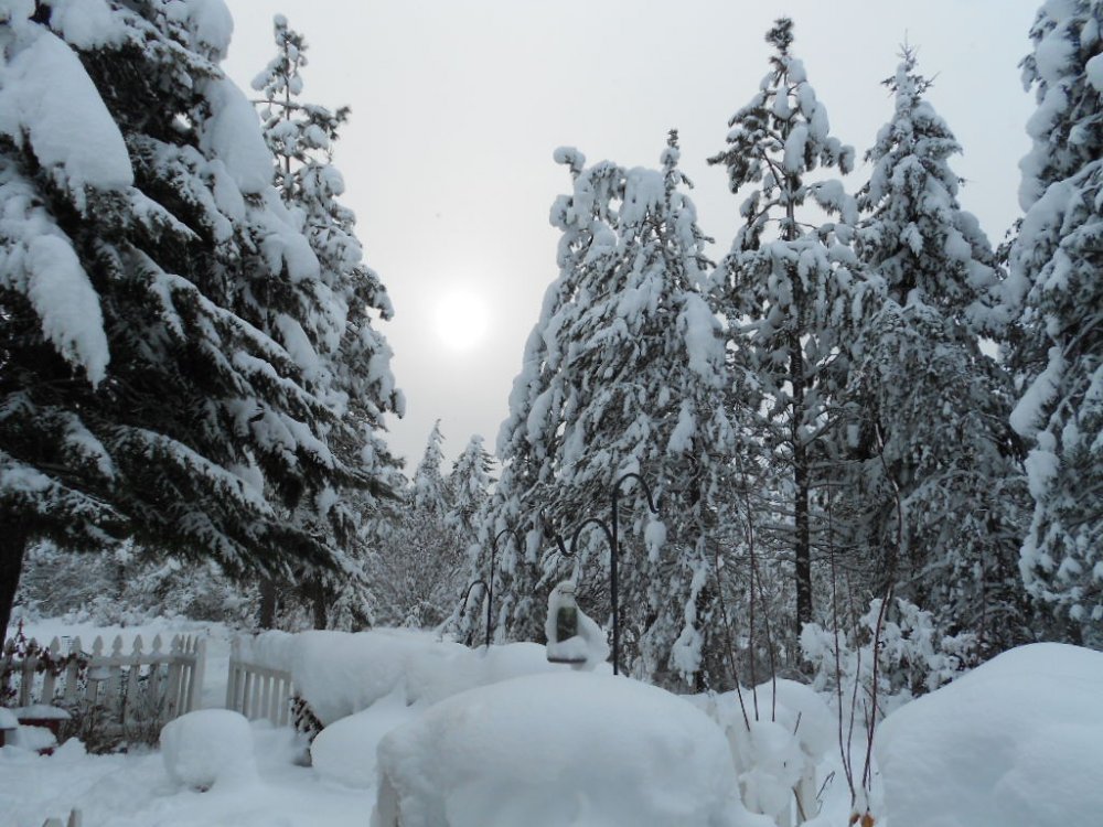 DSCN3453.JPG