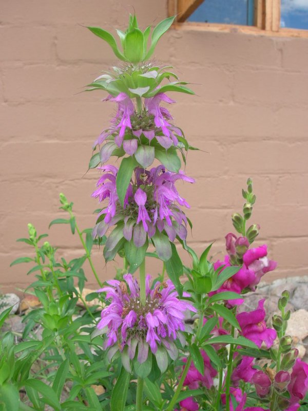 DSCN3461.JPG