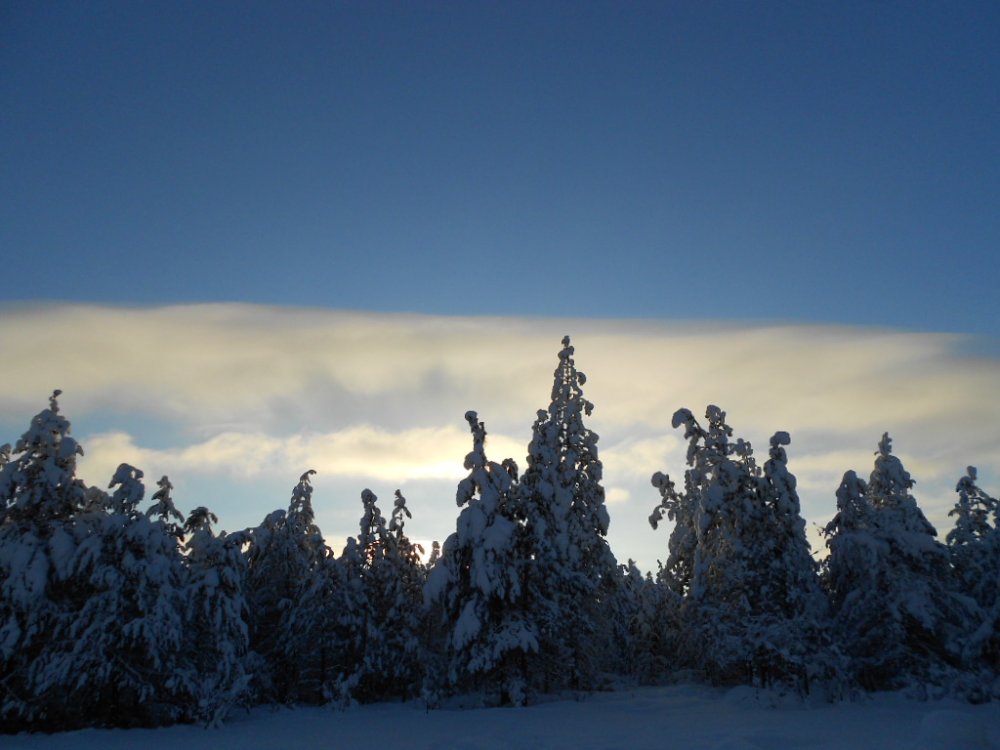 DSCN3462.JPG
