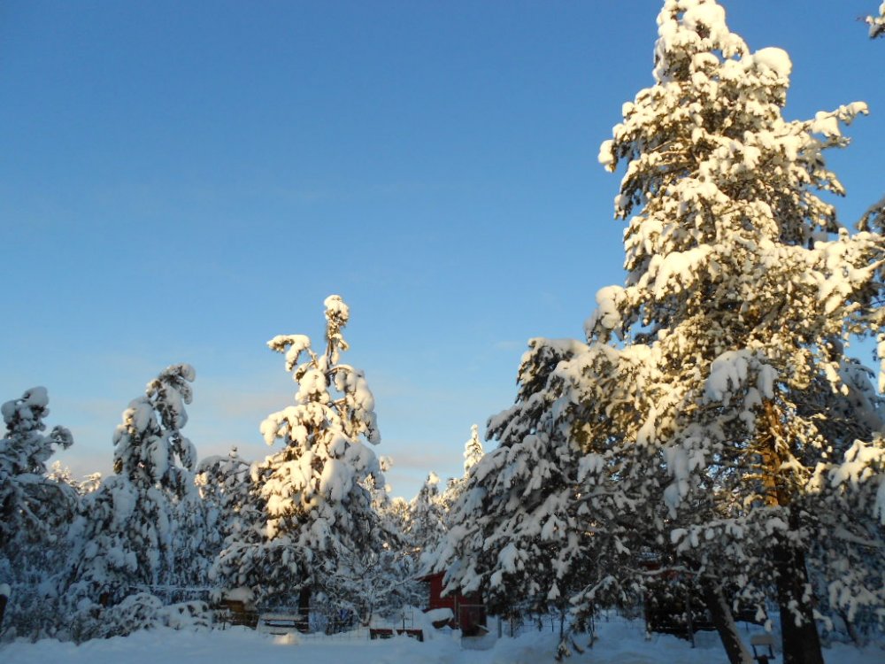 DSCN3463.JPG