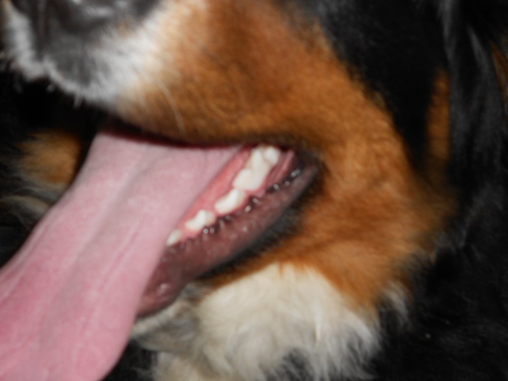 DSCN3501.JPG
