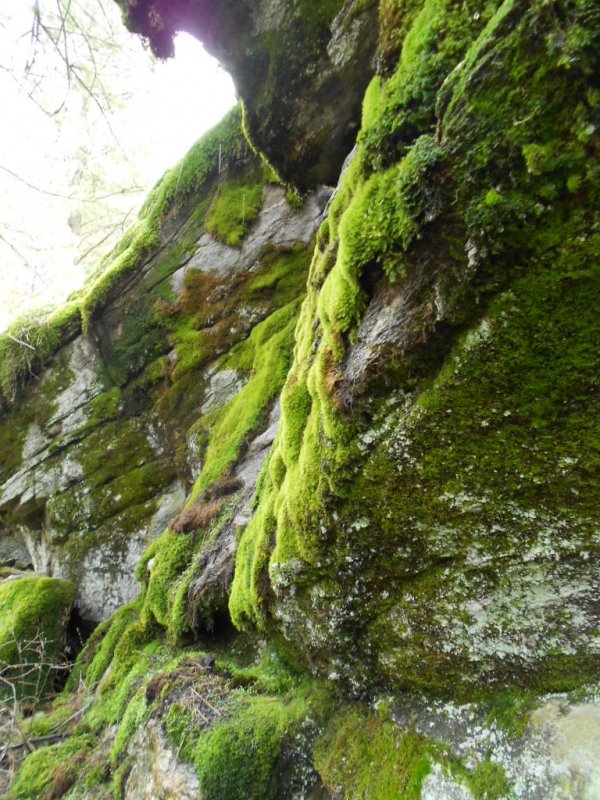DSCN3535.JPG