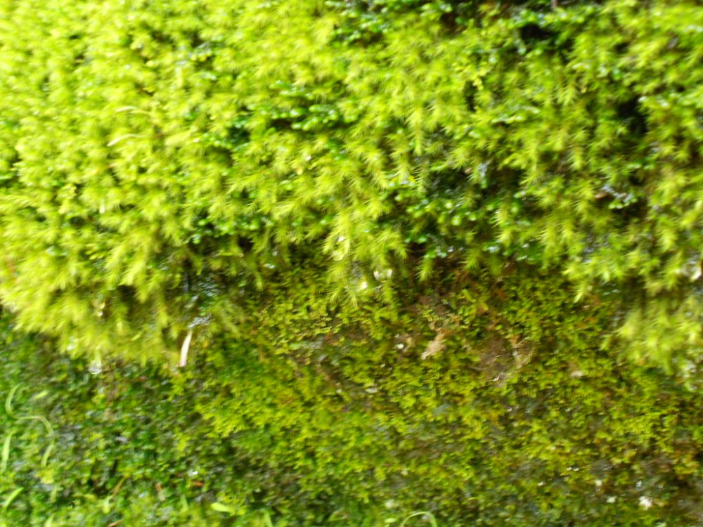 DSCN3539.JPG