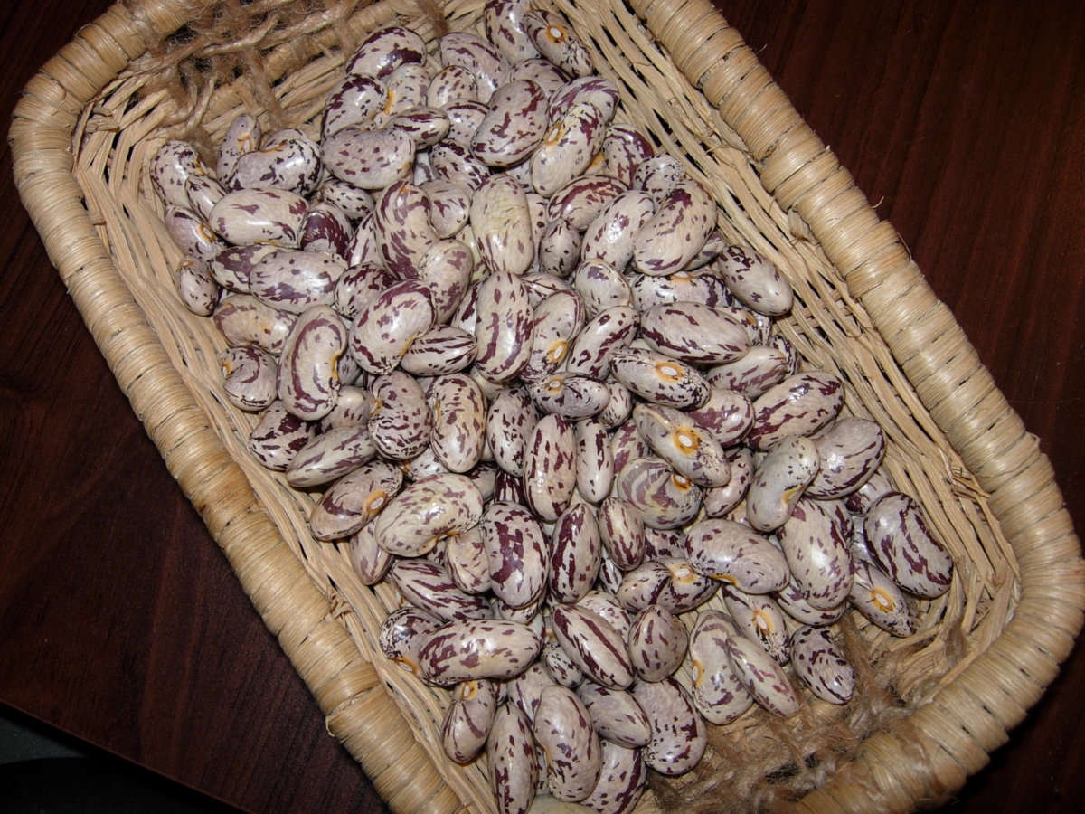 DSCN3800.JPG
