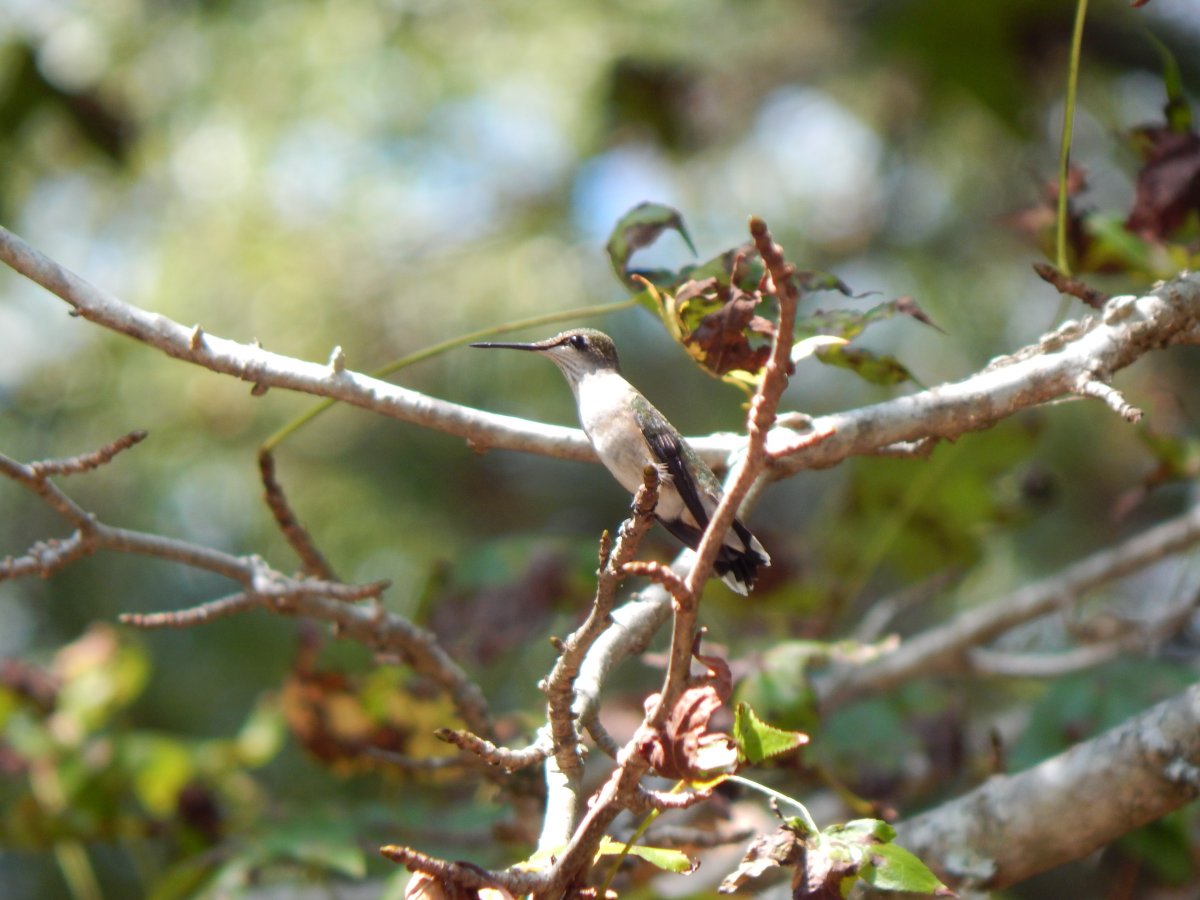 DSCN3880.JPG