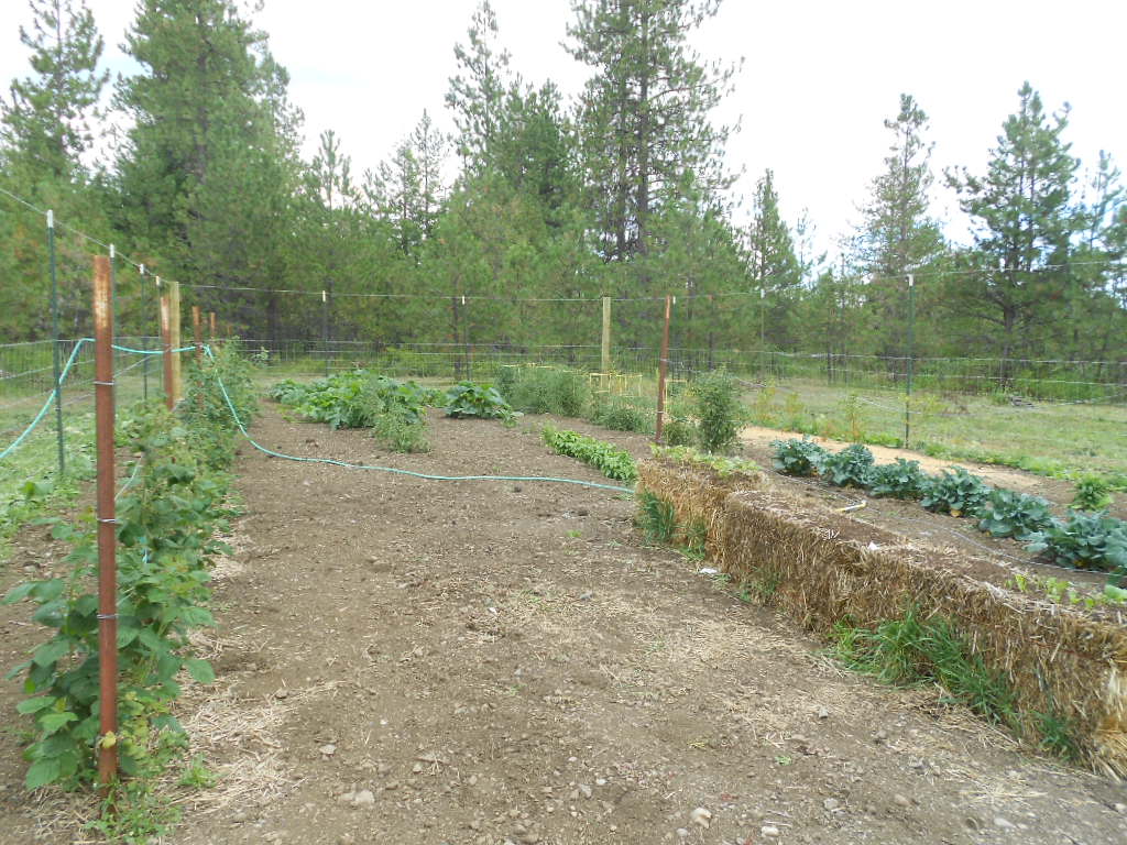 DSCN3996.JPG
