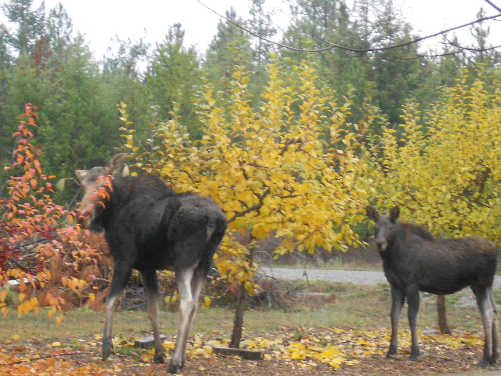 DSCN4190.JPG