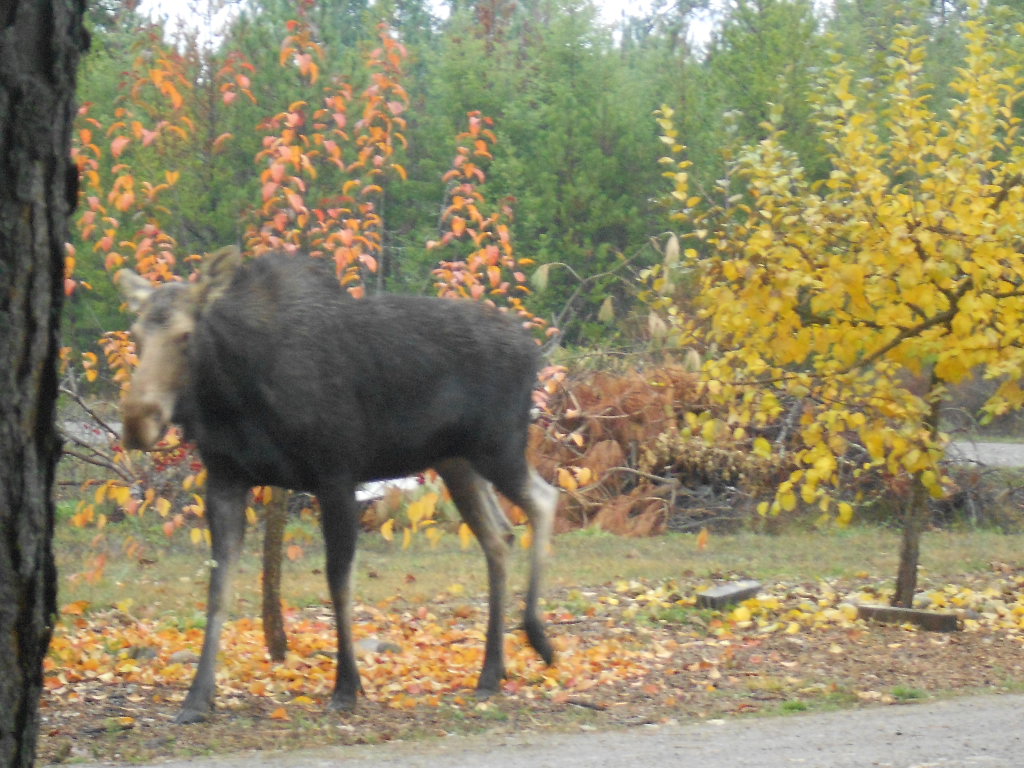 DSCN4191.JPG