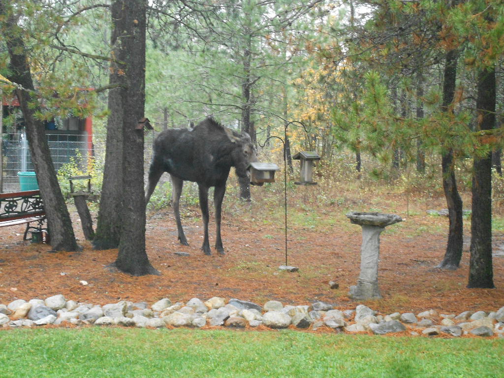 DSCN4199.JPG