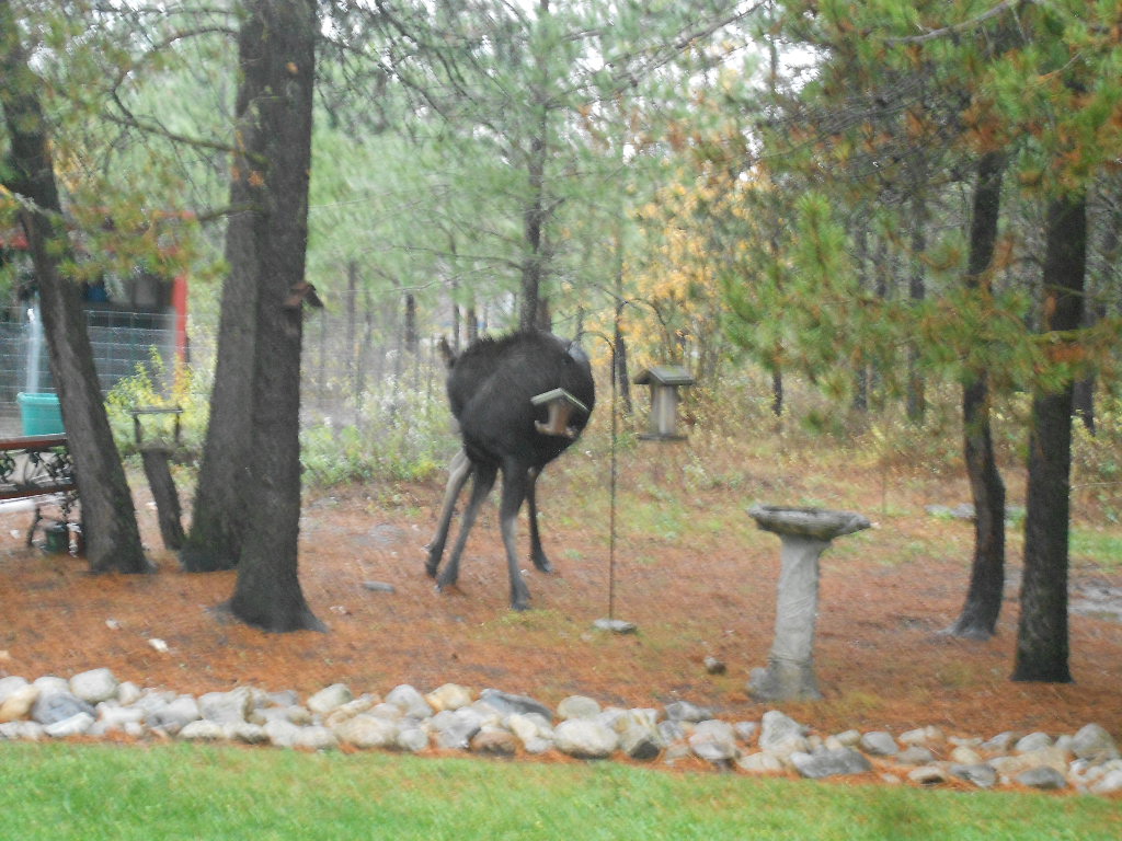 DSCN4201.JPG