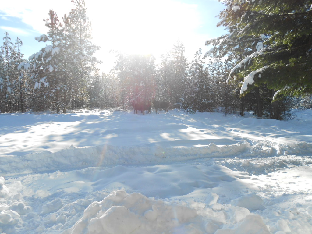 DSCN4316.JPG