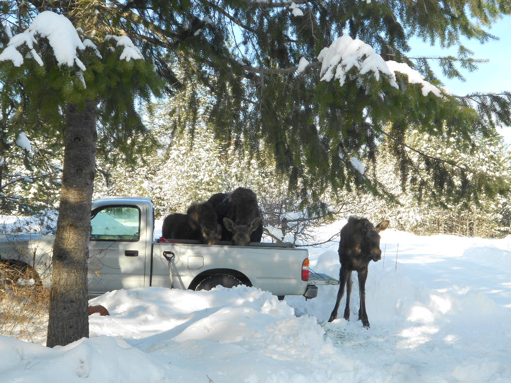 DSCN4322.JPG