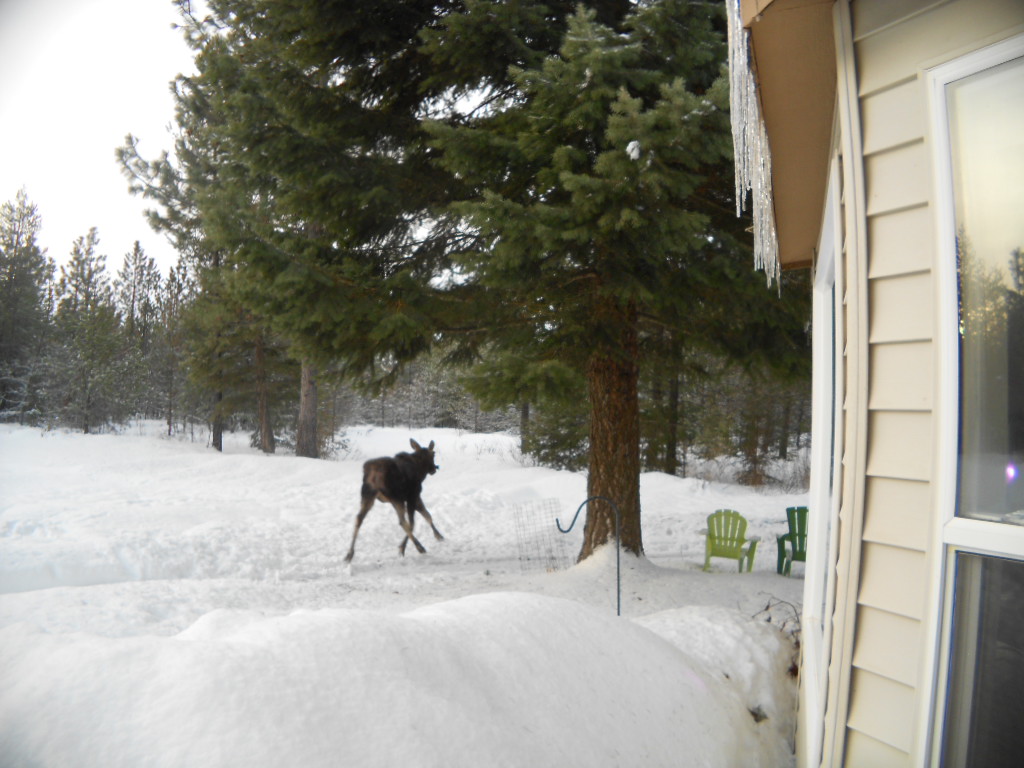DSCN4362.JPG