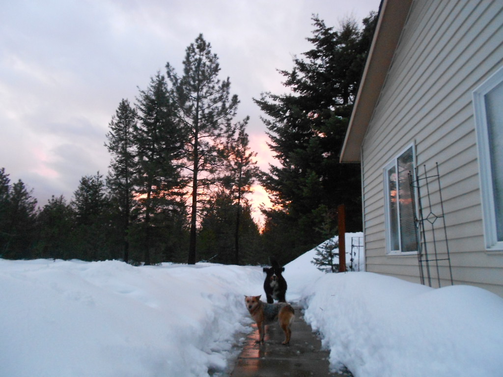 DSCN4364.JPG