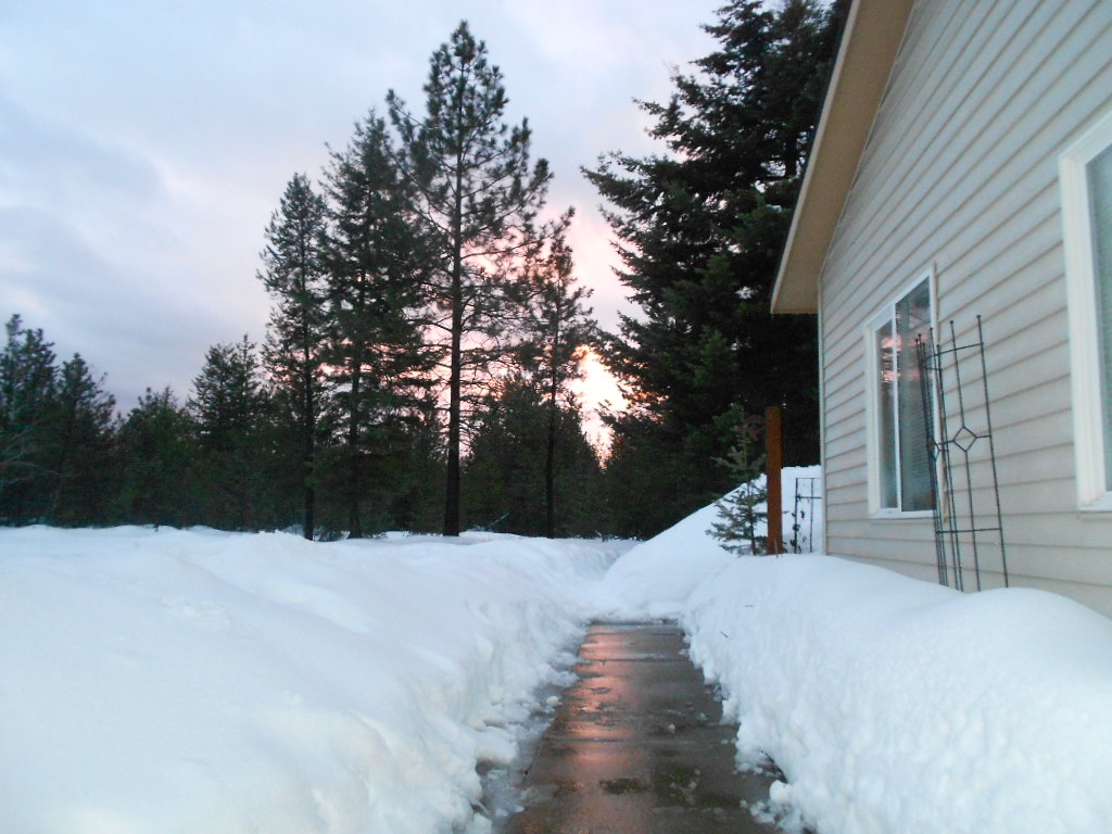 DSCN4366.JPG