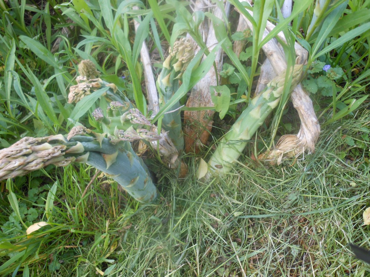 DSCN4621.JPG