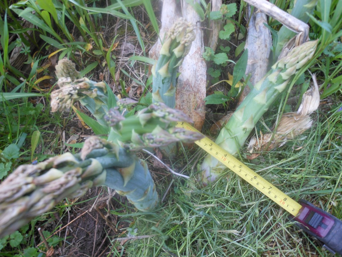 DSCN4623.JPG