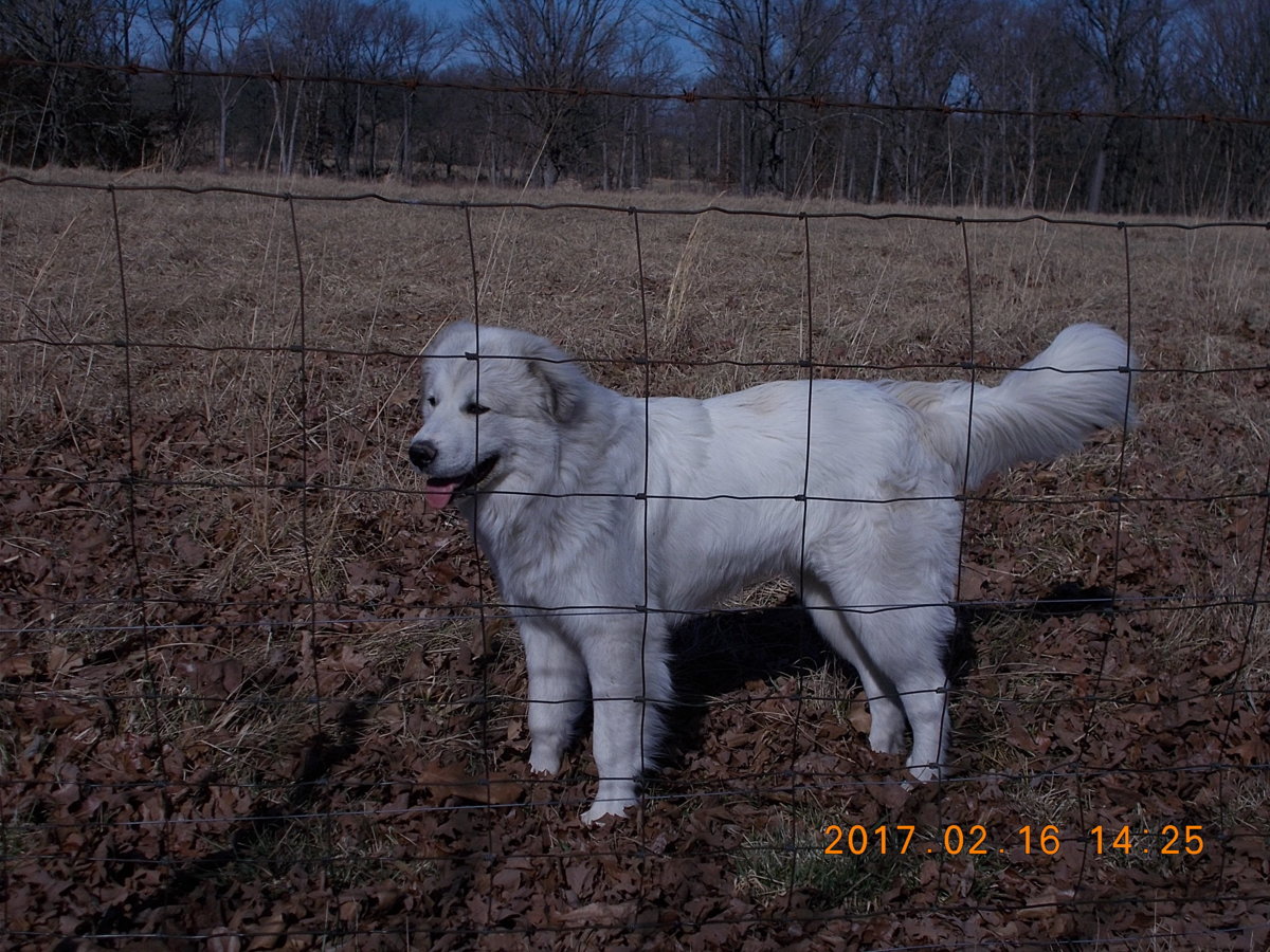 DSCN4756.JPG