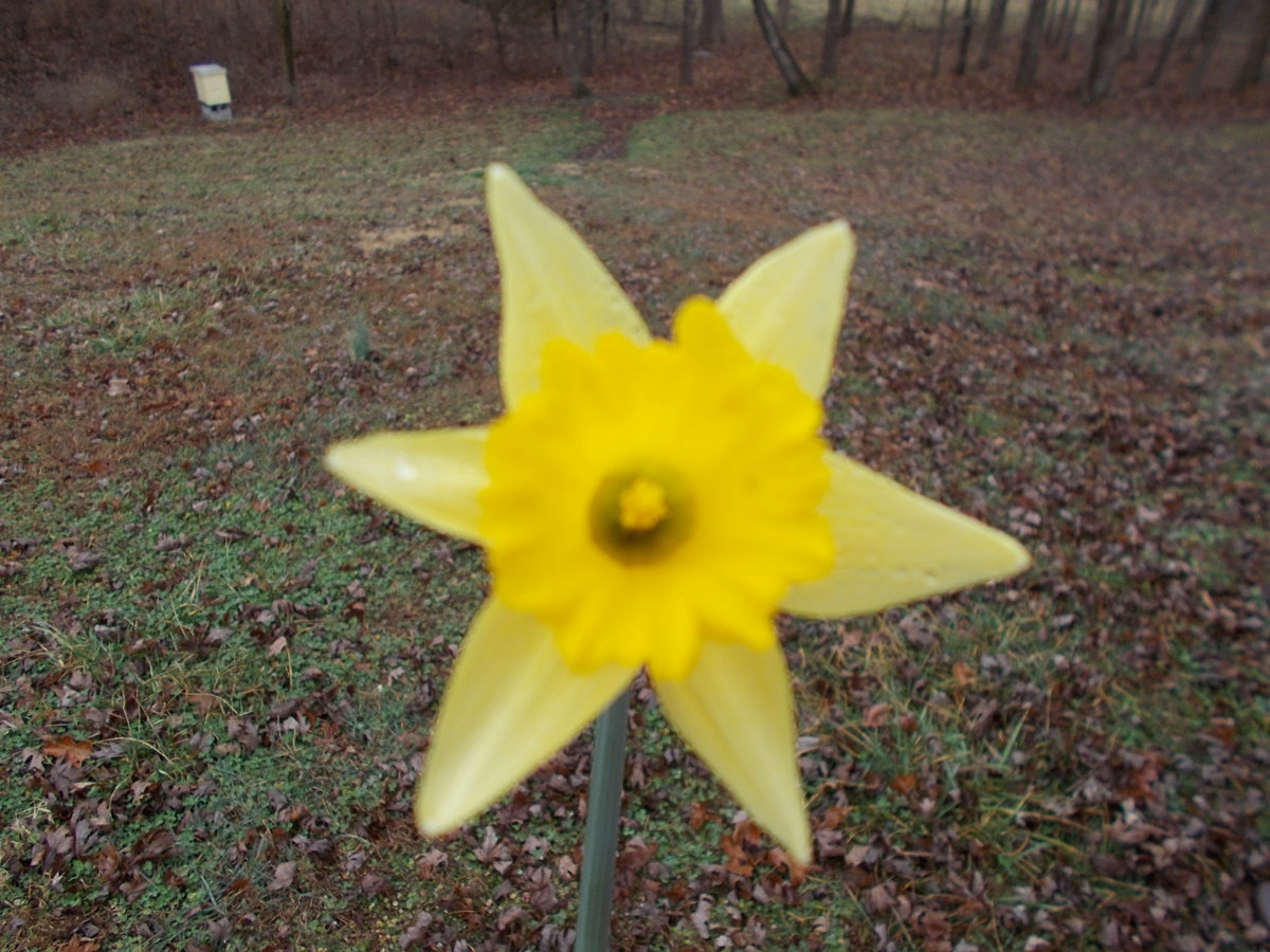 DSCN4835.JPG
