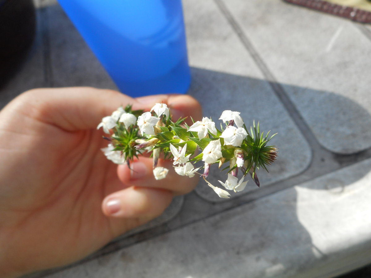 DSCN4897.JPG