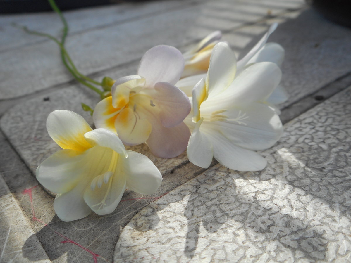 DSCN4902.JPG