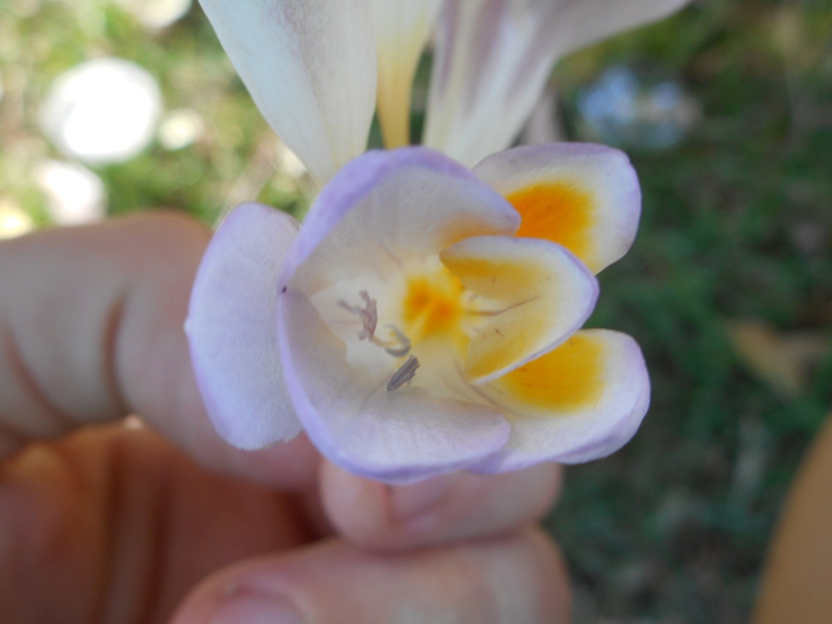 DSCN4909.JPG