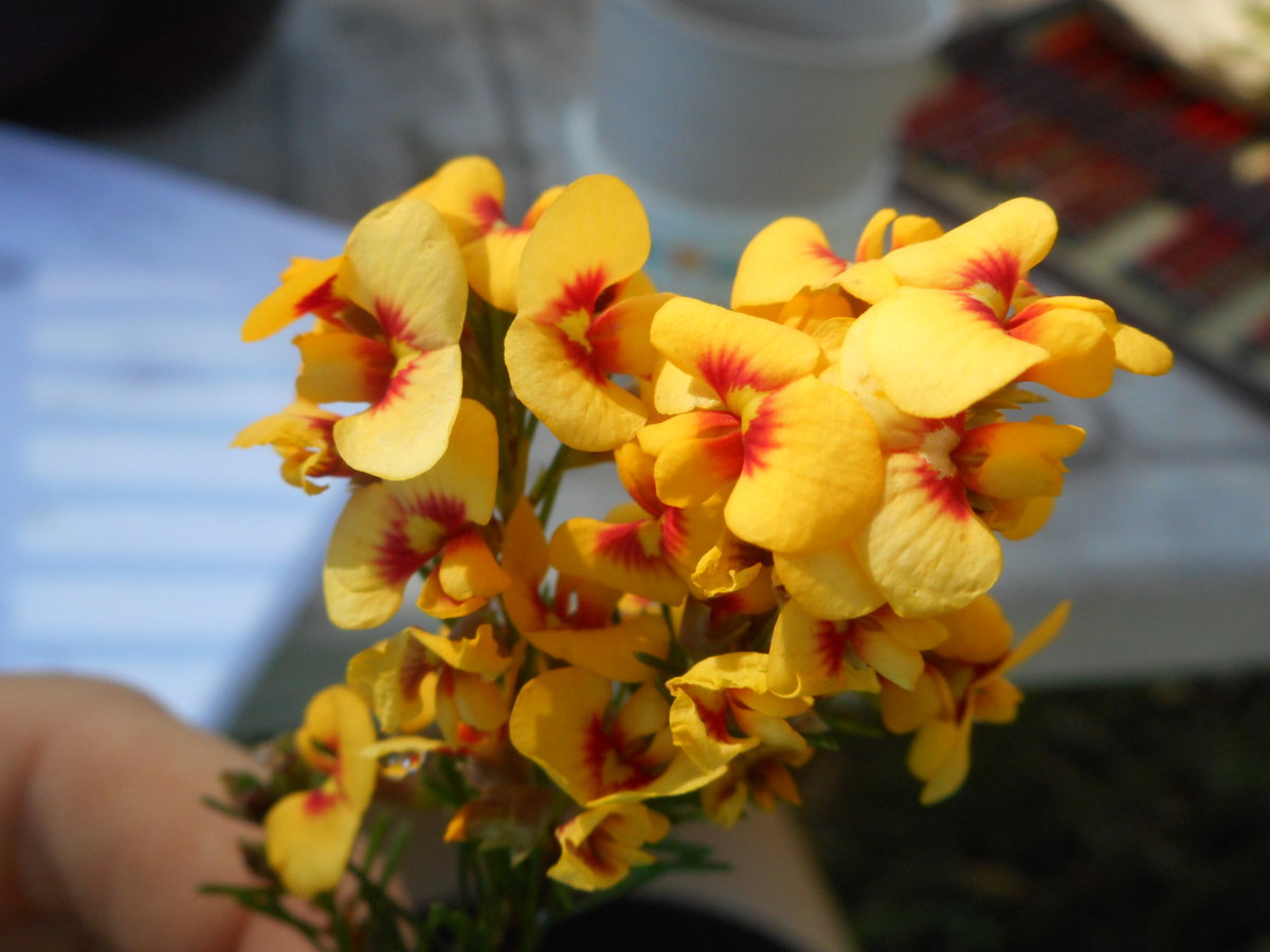 DSCN4952.JPG