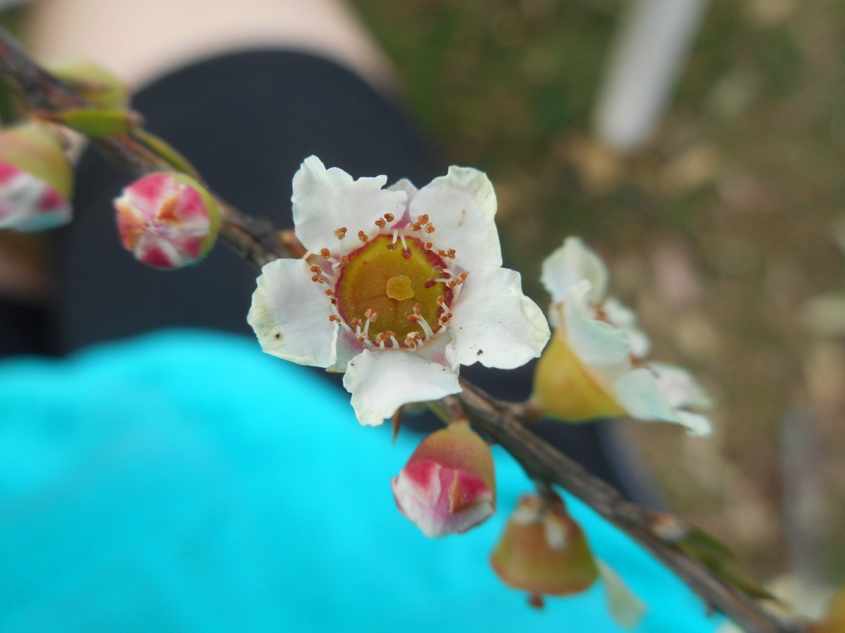 DSCN4970.JPG